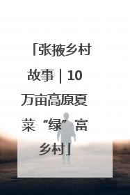 张掖乡村故事｜10万亩高原夏菜“绿”富乡村