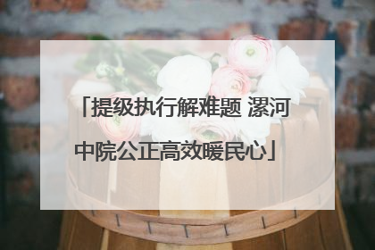 提级执行解难题 漯河中院公正高效暖民心