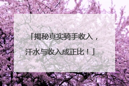 揭秘真实骑手收入，汗水与收入成正比！