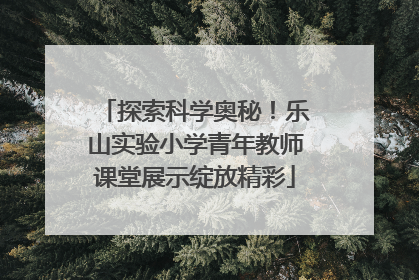 探索科学奥秘！乐山实验小学青年教师课堂展示绽放精彩