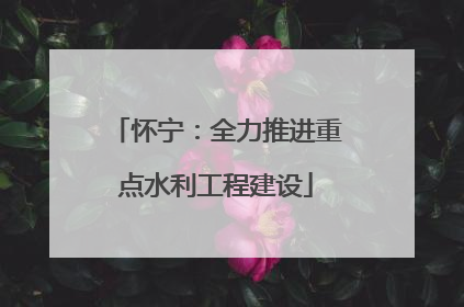 怀宁：全力推进重点水利工程建设