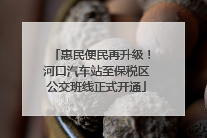 惠民便民再升级！河口汽车站至保税区公交班线正式开通