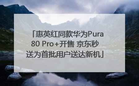 惠英红同款华为Pura 80 Pro+开售 京东秒送为首批用户送达新机