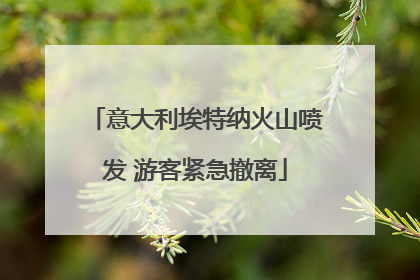 意大利埃特纳火山喷发 游客紧急撤离