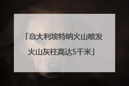 意大利埃特纳火山喷发 火山灰柱高达5千米