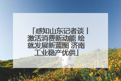 感知山东记者谈丨激活消费新动能 绘就发展新蓝图 济南工业稳产优供