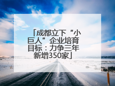 成都立下“小巨人”企业培育目标：力争三年新增350家