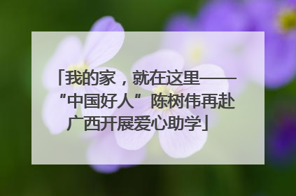 我的家，就在这里——“中国好人”陈树伟再赴广西开展爱心助学