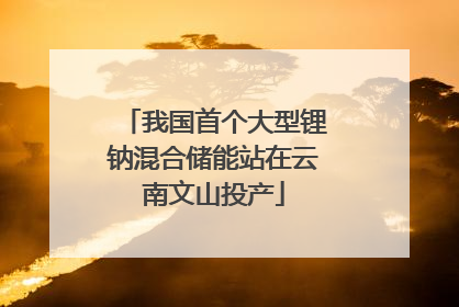 我国首个大型锂钠混合储能站在云南文山投产