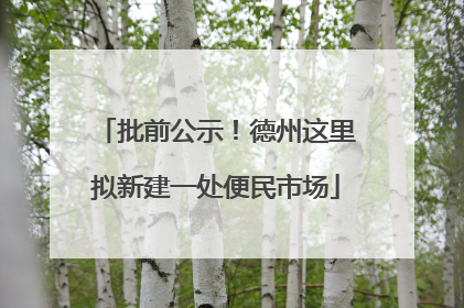 批前公示！德州这里拟新建一处便民市场