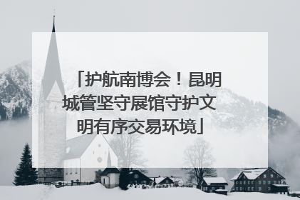 护航南博会！昆明城管坚守展馆守护文明有序交易环境