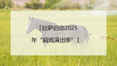 拉萨启动2025年“藏戏演出季”