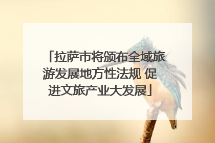 拉萨市将颁布全域旅游发展地方性法规 促进文旅产业大发展