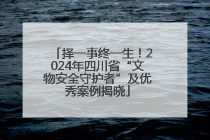 择一事终一生！2024年四川省“文物安全守护者”及优秀案例揭晓
