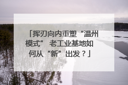 挥刃向内重塑“温州模式” 老工业基地如何从“新”出发？