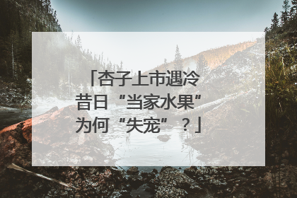 杏子上市遇冷 昔日“当家水果”为何“失宠”？