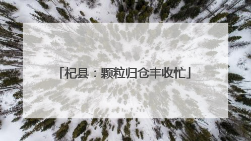 杞县：颗粒归仓丰收忙