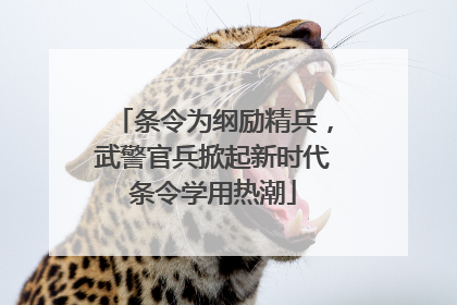 条令为纲励精兵，武警官兵掀起新时代条令学用热潮