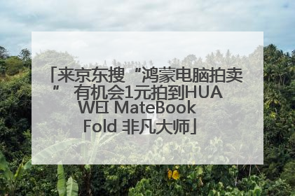 来京东搜“鸿蒙电脑拍卖” 有机会1元拍到HUAWEI MateBook Fold 非凡大师