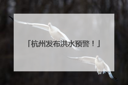 杭州发布洪水预警！