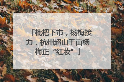 枇杷下市，杨梅接力，杭州超山千亩杨梅正“红妆”