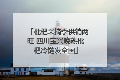 枇杷采摘季供销两旺 四川宝兴晚熟枇杷冷链发全国