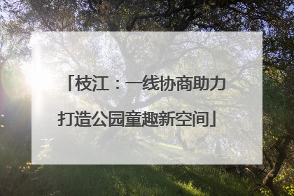 枝江：一线协商助力打造公园童趣新空间