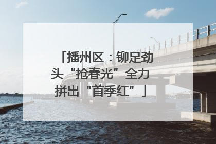 播州区：铆足劲头“抢春光”全力拼出“首季红”