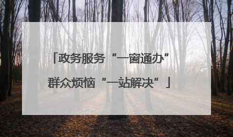 政务服务“一窗通办” 群众烦恼“一站解决”