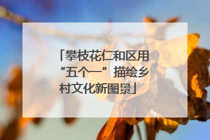 攀枝花仁和区用“五个一”描绘乡村文化新图景