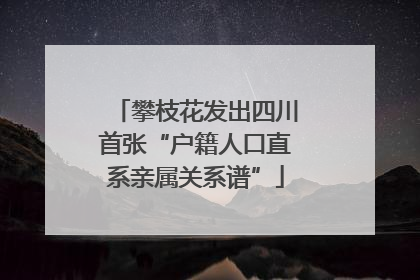 攀枝花发出四川首张“户籍人口直系亲属关系谱”