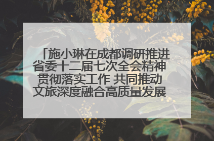 施小琳在成都调研推进省委十二届七次全会精神贯彻落实工作 共同推动文旅深度融合高质量发展 加快打造支柱产业民生产业幸福产业