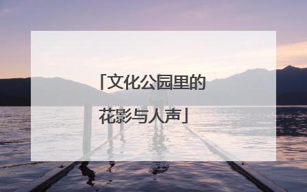 文化公园里的花影与人声