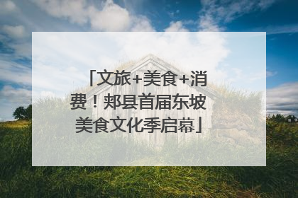 文旅+美食+消费！郏县首届东坡美食文化季启幕