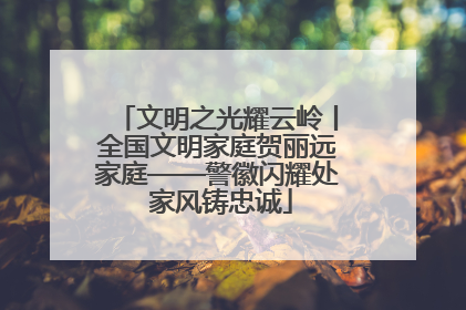 文明之光耀云岭丨全国文明家庭贺丽远家庭——警徽闪耀处 家风铸忠诚
