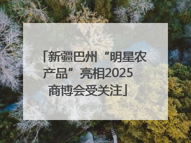 新疆巴州“明星农产品”亮相2025商博会受关注