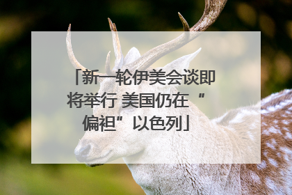 新一轮伊美会谈即将举行 美国仍在“偏袒”以色列