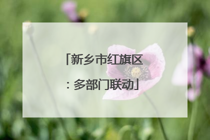 新乡市红旗区：多部门联动