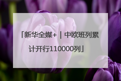 新华全媒+｜中欧班列累计开行110000列
