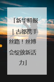 新华鲜报｜古都携手丝路！丝博会绽放新活力