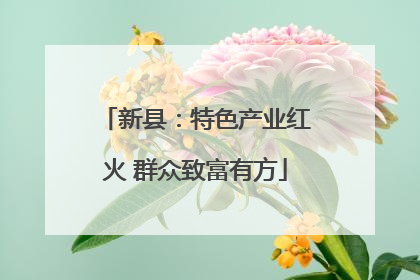 新县：特色产业红火 群众致富有方