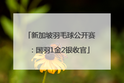 新加坡羽毛球公开赛：国羽1金2银收官
