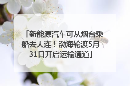新能源汽车可从烟台乘船去大连！渤海轮渡5月31日开启运输通道