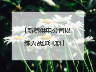 新蔡供电公司以练为战迎汛期