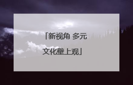 新视角 多元文化壁上观