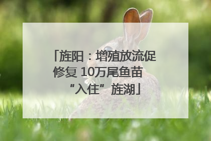 旌阳：增殖放流促修复 10万尾鱼苗“入住”旌湖