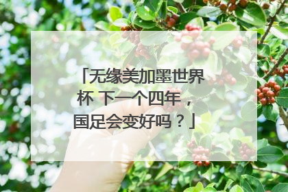 无缘美加墨世界杯 下一个四年，国足会变好吗？