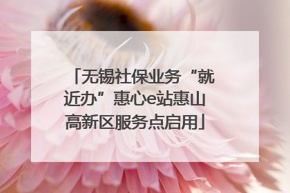 无锡社保业务“就近办”惠心e站惠山高新区服务点启用
