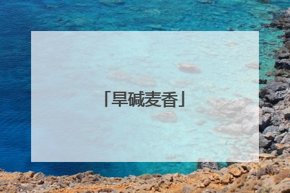 旱碱麦香