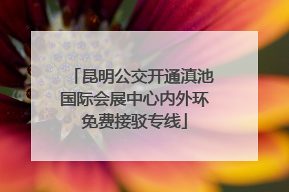 昆明公交开通滇池国际会展中心内外环免费接驳专线